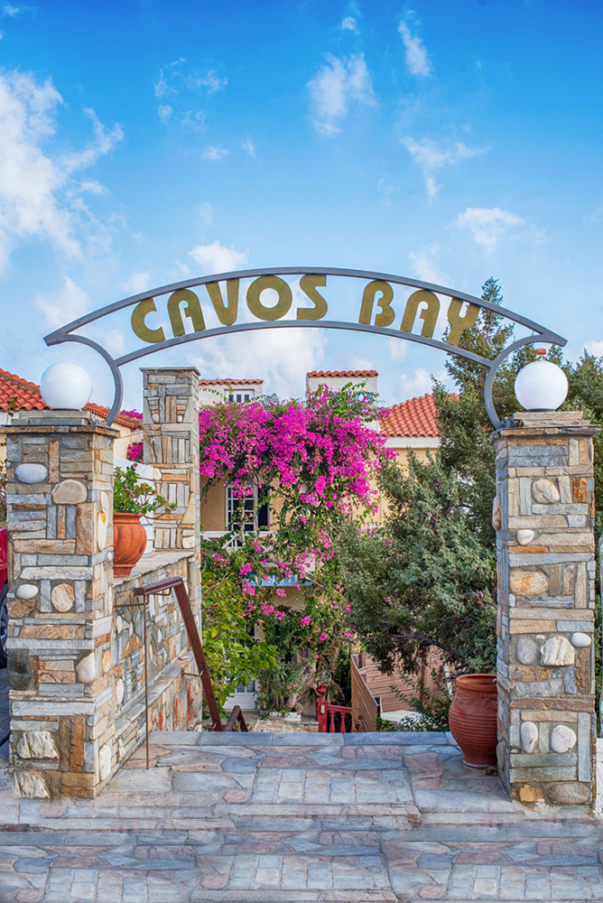 cavARG 6874
